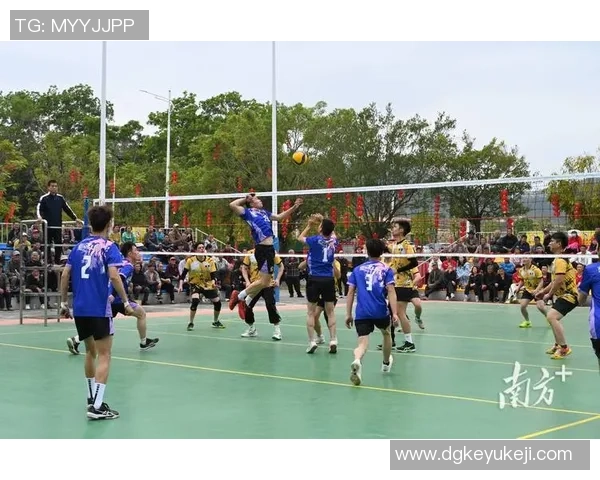 赵娜独家分享排球心得与技巧助你提升球技和比赛表现