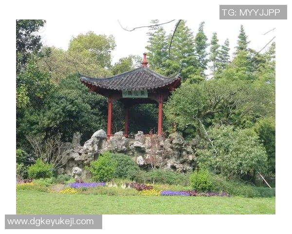 赛后分析：杭州乒乓球队与深圳乒乓球队的战术意识与表现对比